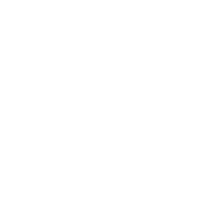 Cat Nutrition icon