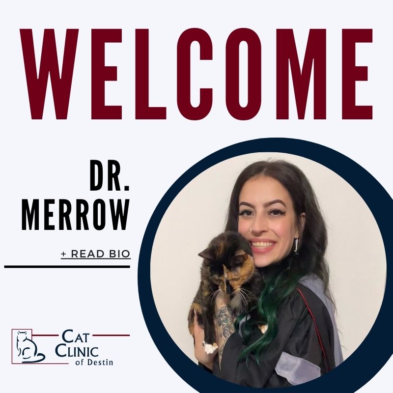 Dr. Merrow