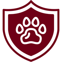 pet insurance icon